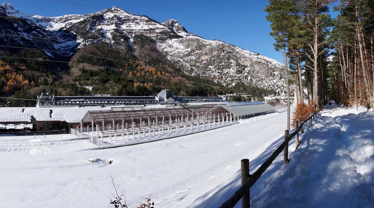 El Refugio De La Ardilla, Apartamento Canfranc-Estacion Leilighet Eksteriør bilde