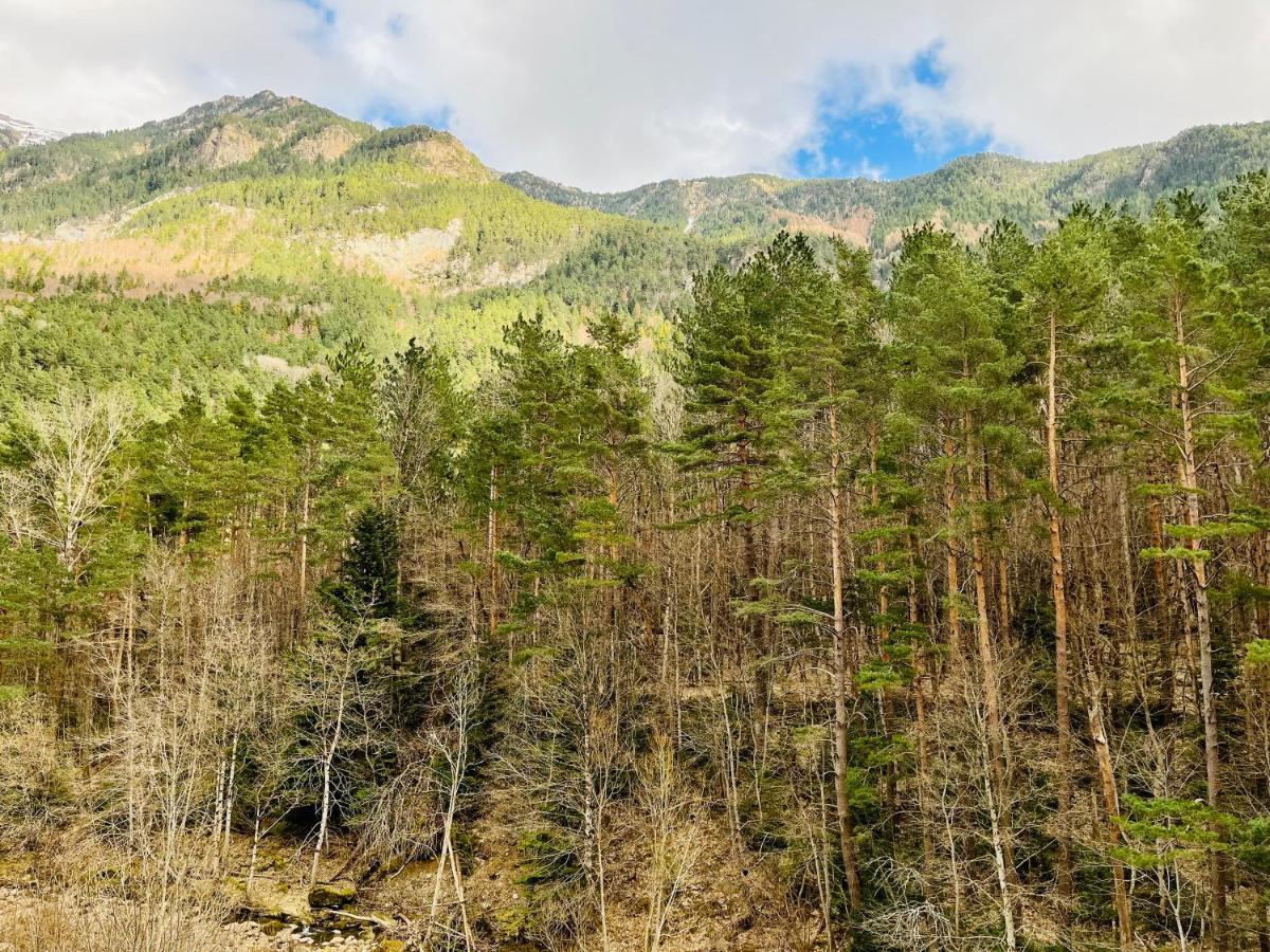 El Refugio De La Ardilla, Apartamento Canfranc-Estacion Leilighet Eksteriør bilde